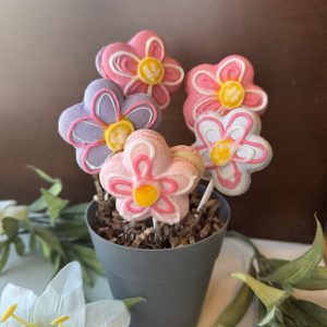 Mother's Day Macaron Flower Pot