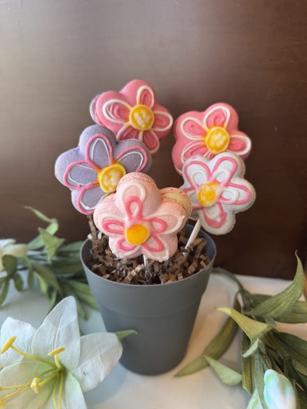 Mother's Day Macaron Flower Pot